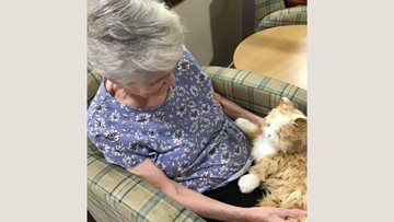 Paw-fect companions at Stirling care home